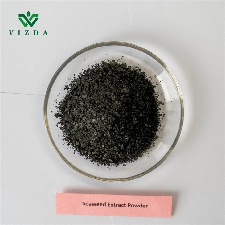 High Quality Organic Fertilizer Seaweed Extract
