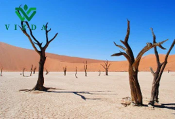 La amenaza del clima de alta temperatura para las actividades económicas en v...