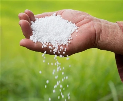 Se espera que el valor de producción de fertilizantes orgánicos de China alca...