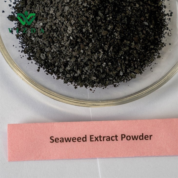 Seaweed Extract Black Flake Fertilizer