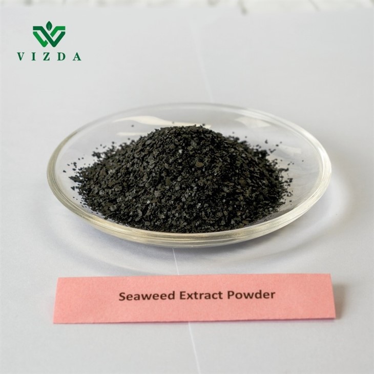 Seaweed Extract Black Flake Fertilizer