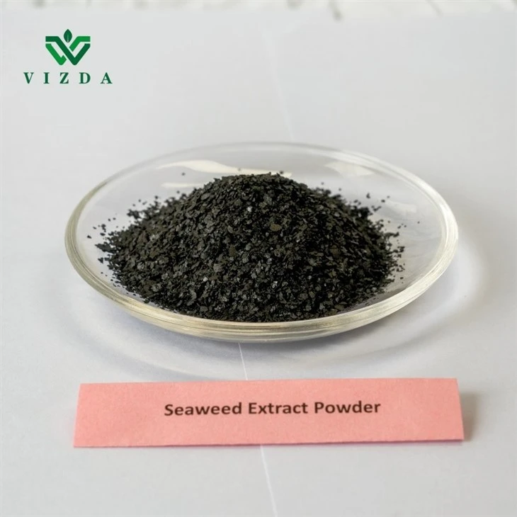 Seaweed Extract Fertilizer