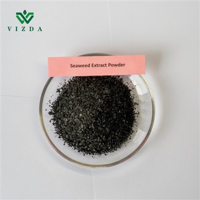 Fertilizante orgánico con extracto de algas marinas