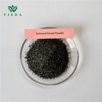 Fertilizante soluble en extracto de algas marinas