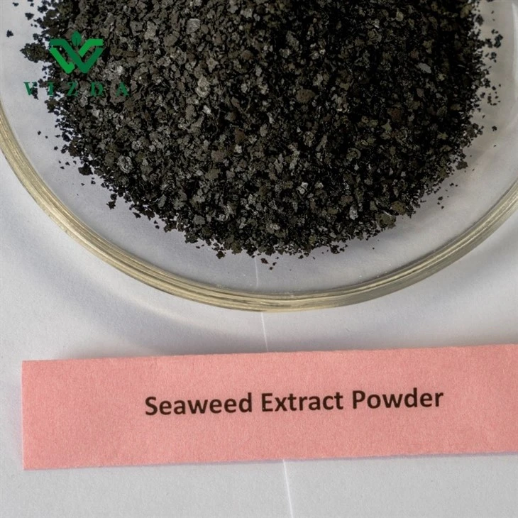 Soluble Seaweed Extract Fertilizer