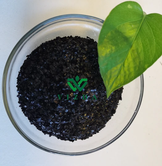 Boost Your Plant's Growth With Potassium Fulvic - K-Fulvate Acid