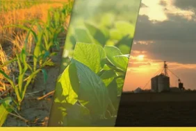 Cómo Agrifields está construyendo un agricultor - Centric Agri - Ecosistema d...