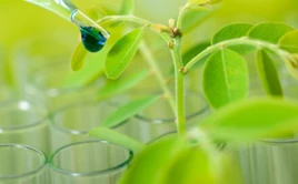 La nueva planta de mezcla de fertilizantes trae soluciones personalizadas a l...