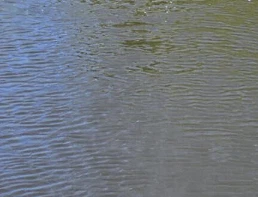 Un laboratorio montado en un dron-monitorea el escurrimiento de fertilizantes...