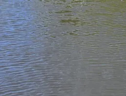 Un laboratorio montado en un dron-monitorea el escurrimiento de fertilizantes...