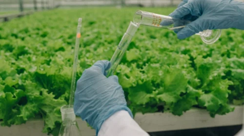 La industria de fertilizantes avanza hacia sistemas agronómicos integrados, l...